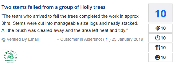 tree surgon Farnborough hampshire